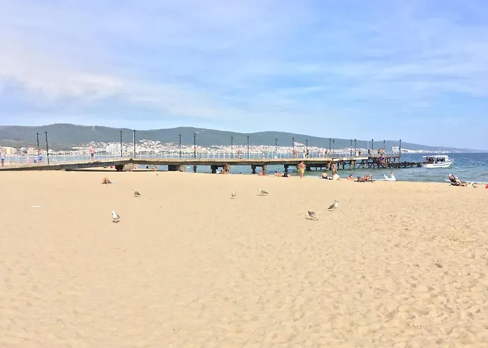 Summer Breeze 515 No Romania Διαμέρισμα *